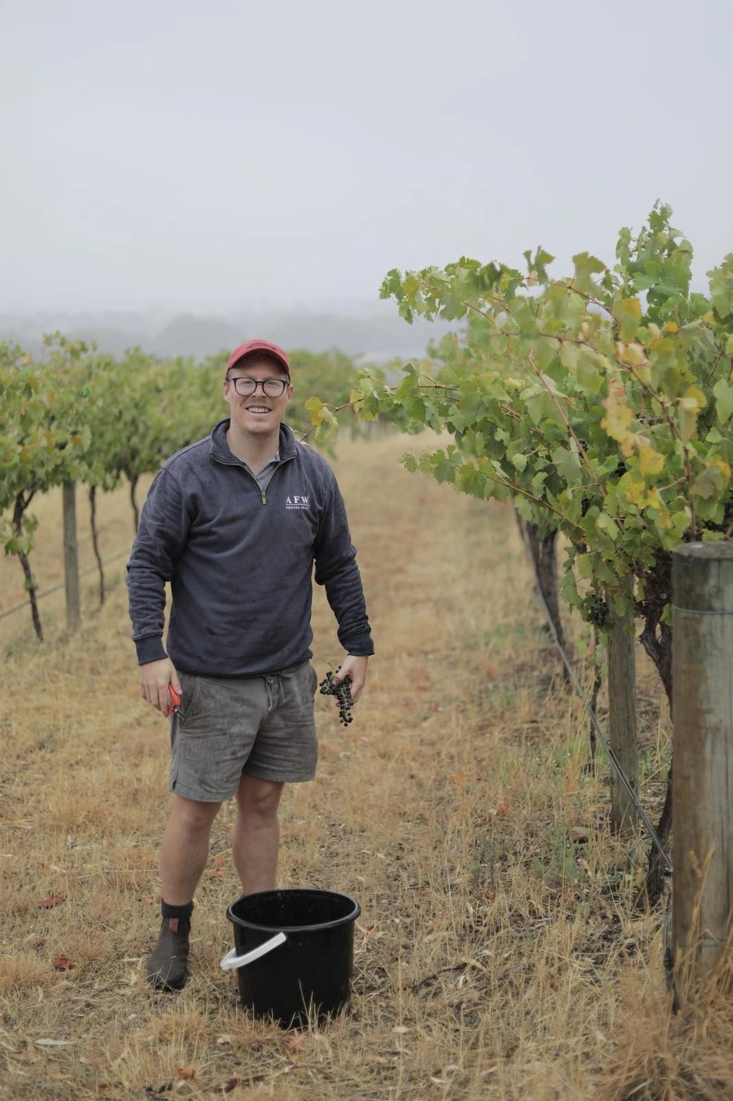 A vintage interview : Auld Family Wine
